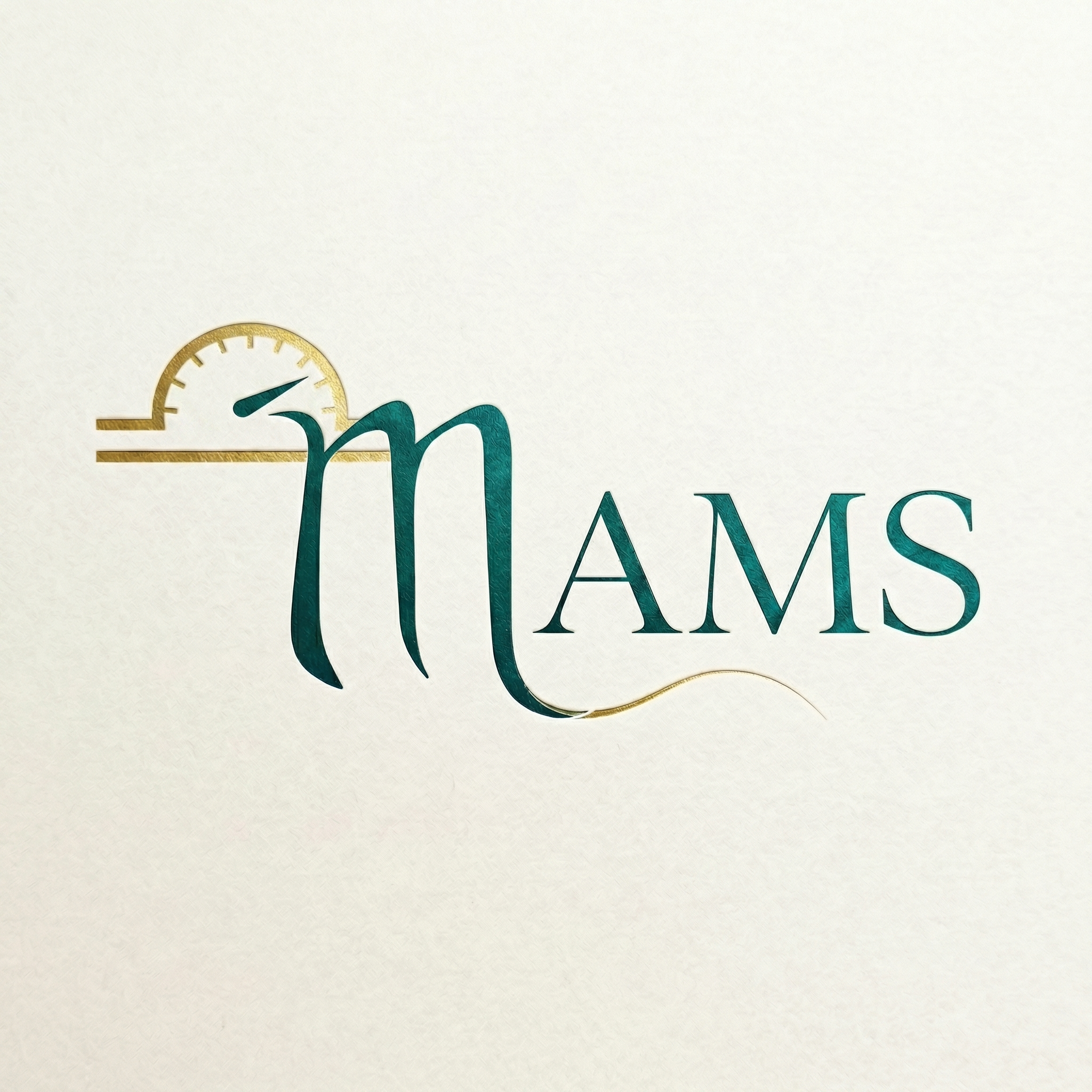 MAMS LLC